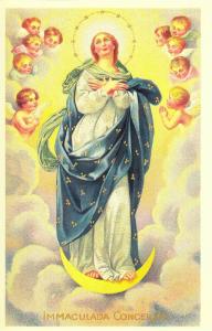 Immaculate Conception Blessed Virgin Mary Modern Postcard