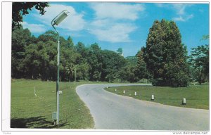 The Lake Garden, Kuala Lumpur, Malaya, Malaysia, 40-60´s