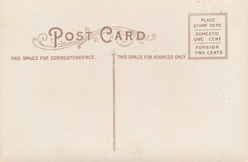 Bird Seeing Some Ups And Downs - Humor - Copyright 1910 - DB