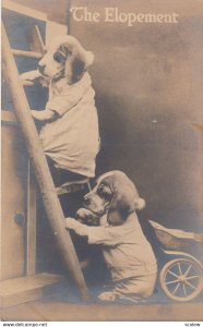 RP: 2 dogs on a ladder , The Elopement , 00-10s