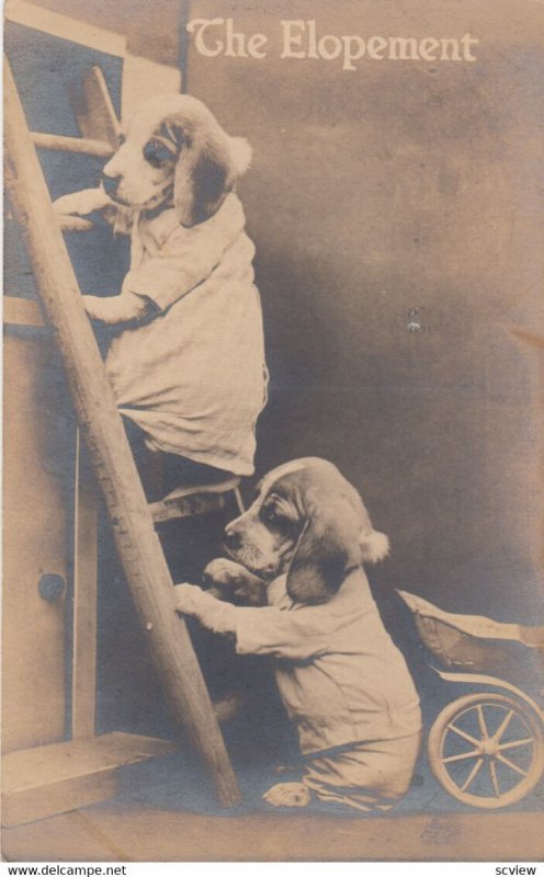 RP: 2 dogs on a ladder , The Elopement , 00-10s