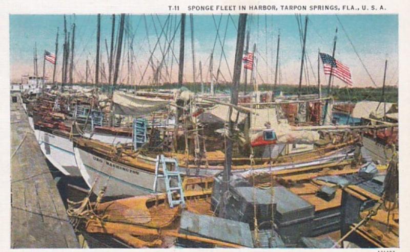 Florida Tarpon Springs Spong Fleet In Harbor Curteich