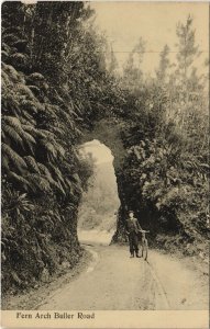 PC NEW ZEALAND, FERN ARCH BULLER ROAD, Vintage REAL PHOTO Postcard (B41506)