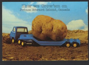 PEI Exaggeration How We Grow'Em Toy Truck Trailer Potato 1993 ~ Cont'l
