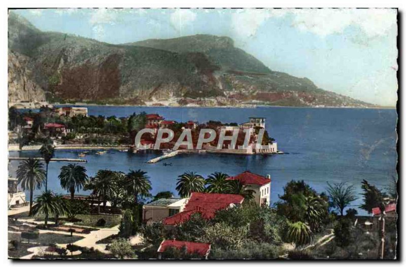 Postcard Modern Beausoleil Bay View Ants dog head