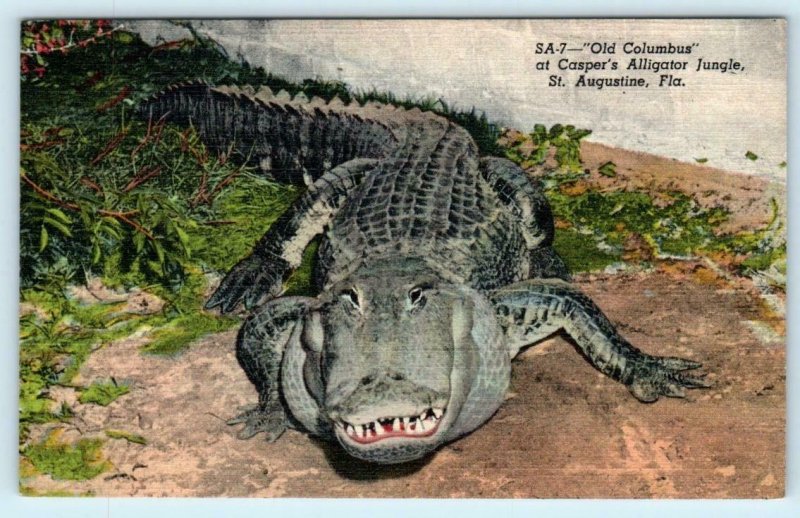 2 Postcards ST. AUGUSTINE, FL ~ CASPER'S ALIGATOR JUNGLE Columbus & Crocodiles