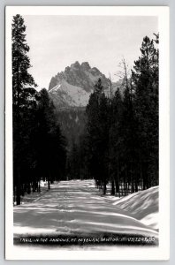 Idaho RPPC Trail In The Shadows Mt Heyburn Sawtooth Mts ID Photo Postcard V21