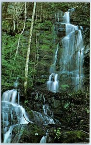 Postcard - Place of a Thousand Drips, Great Smoky Mountains National Park - TN