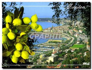 Modern Postcard The French Riviera French Riviera Menton General view