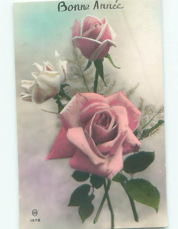 tinted rppc c1910 BEAUTIFUL FLOWERS AC9042