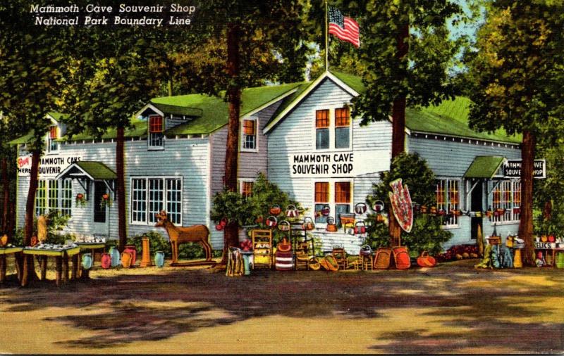 Kentucky Cave City Mammoth Cave Souvenir Shop 1951 Curteich