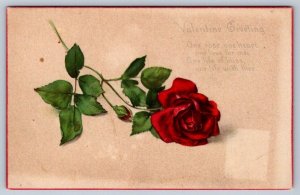 Valentine Greetings, Sprig Of Rose, Vintage Postcard, Series No 113