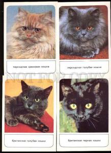 002151 PUSSY CAT Collection of 18 colorful russian postcards