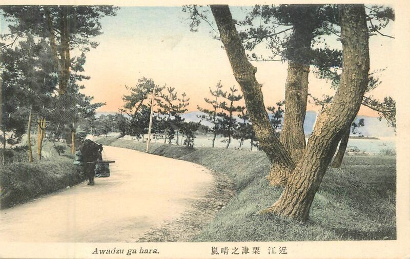 Japan C-1910 hand colored Awadzu ga hara  Postcard 22-7377