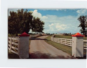 Postcard Calumet Farm, Lexington, Kentucky