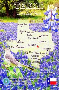 TEXAS Map Postcard - The Lone Star State -  State Symbols