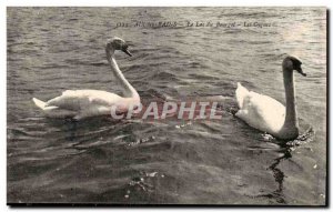 Aix les Bains Old Postcard Lake Bourget Swans