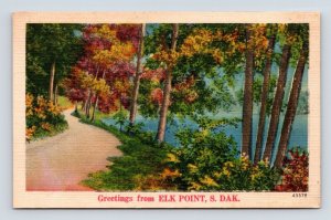 Generic  Scenic Greetings From Elk Point South Dakota SD UNP   Linen Postcard M5