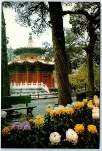 Postcard - Imperial Garden in the Palace Museum - Beijing, China