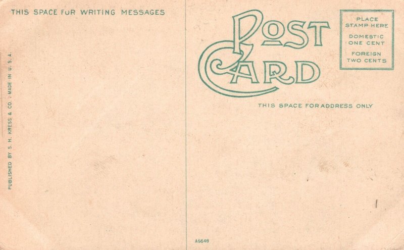 Vintage Postcard 1930's Battery Park Hotel Ashville North Carolina H.S. Kress Co