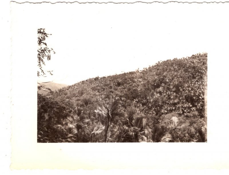 House in El Yonque Forest, Porto Rico (2 ) 1940s Photographs approx. 3 X 4 in