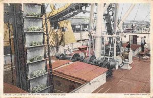 Unloading Banana Shipment Vertical Conveyor Steamer Ship 1910c Phostint postcard