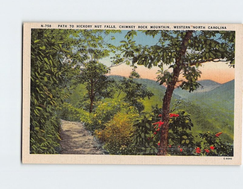 Postcard Path To Hickory Nut Falls, Chimney Rock Mountain, North Carolina
