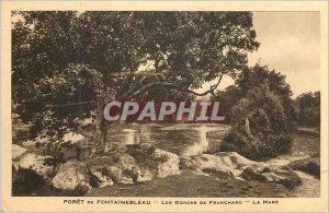 Postcard Old Forest of Fontainebleau Gorges Franchard La Mare