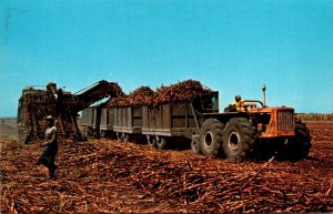 Florida Clewiston Harvesting Sugar Cane United States Sugar Corporation