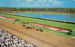 A Thrilling Race  Hialeah Race Course Hialeah, Florida USA View Images 