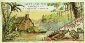 1880's-90's Ayer's Ague Cure Bayou Scene Anthropomorphic Frogs Alligator P92