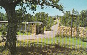 Shady Tree Lined Gateway To American Airlines Stewardess 