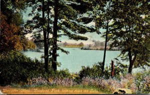 Massachusetts Worcester Woodland Park Looking Down The Lake 1911