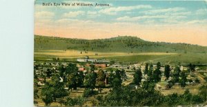 Arizona Williams Birdseye View Racket Store Teich Postcard 22-773