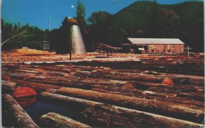 The Old Sawmill Berkeley California Chrome Postcard C184