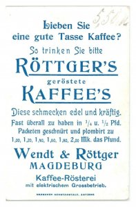 Swans, Gulls and Penguins, Rottger Kaffee German Trade Card *VT27I