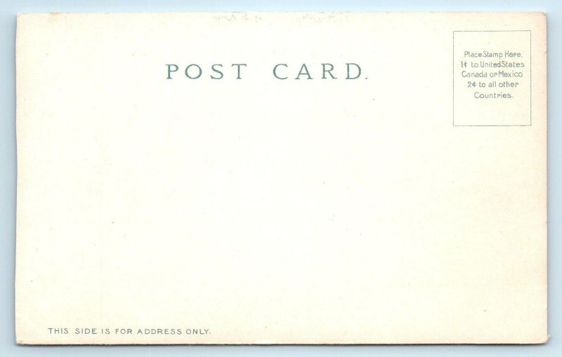 SAN FRANCISCO, CA ~ DE YOUNG MUSEUM before 1906 EARTHQUAKE Damage  Postcard