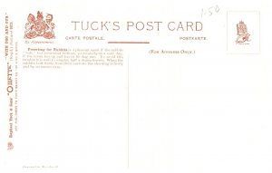 Dog , Hunters rabbitting