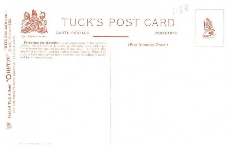 Dog , Hunters rabbitting