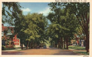 Vintage Postcard Upper Genesee Street Roadway Cars Trees Lined up Utica New York