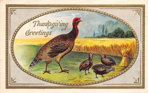 Thanksgiving greetings Turkey with chicks R.P.O., Rail Post Offices Postal Us...