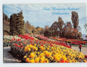 Postcard Dahlienshcau, Insel Mainau im Bodensee, Konstanz, Germany
