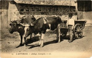 CPA l'Auvergne - Attelage Auvergnat (72920)