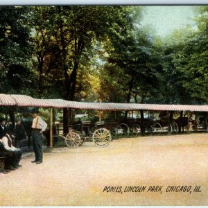 c1910s Chicago IL Pony Rental Park Lith Photo Rotograph PC Advertising Sign A157