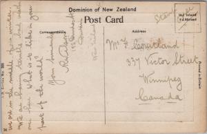 Otago University Dunedin NZ New Zealand Professors Residences RPPC Postcard E33