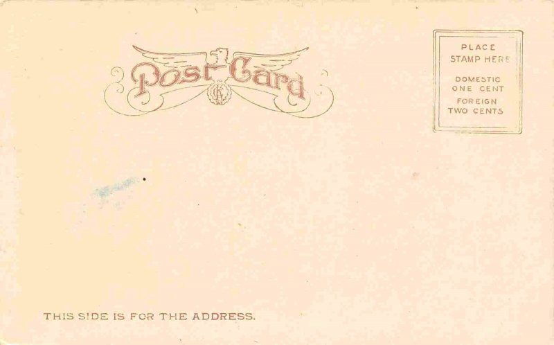 Elks Building Jacksonville Florida 1907c postcard