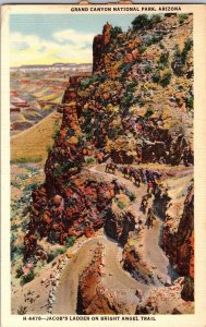 Jacob's Ladder Bright Angel Trail, Grand Canyon Fred Harvey Postcard N50