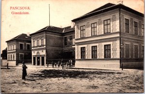Serbia Pancsova Gimnázium Pančevo Vintage Postcard 09.68