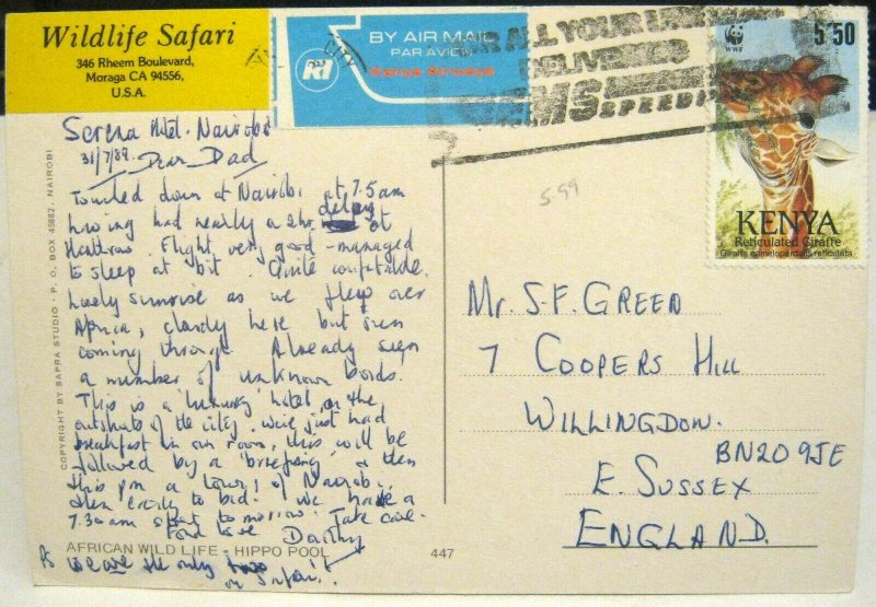 Kenya African Wildlife Hippo Pool - posted