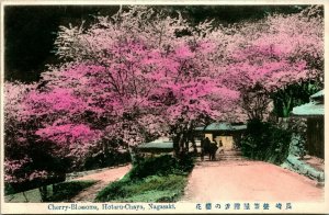 Vtg Postcard 1910s Nagasaki Hoataru-Chaya Cherry Blossoms - Unused Tinted